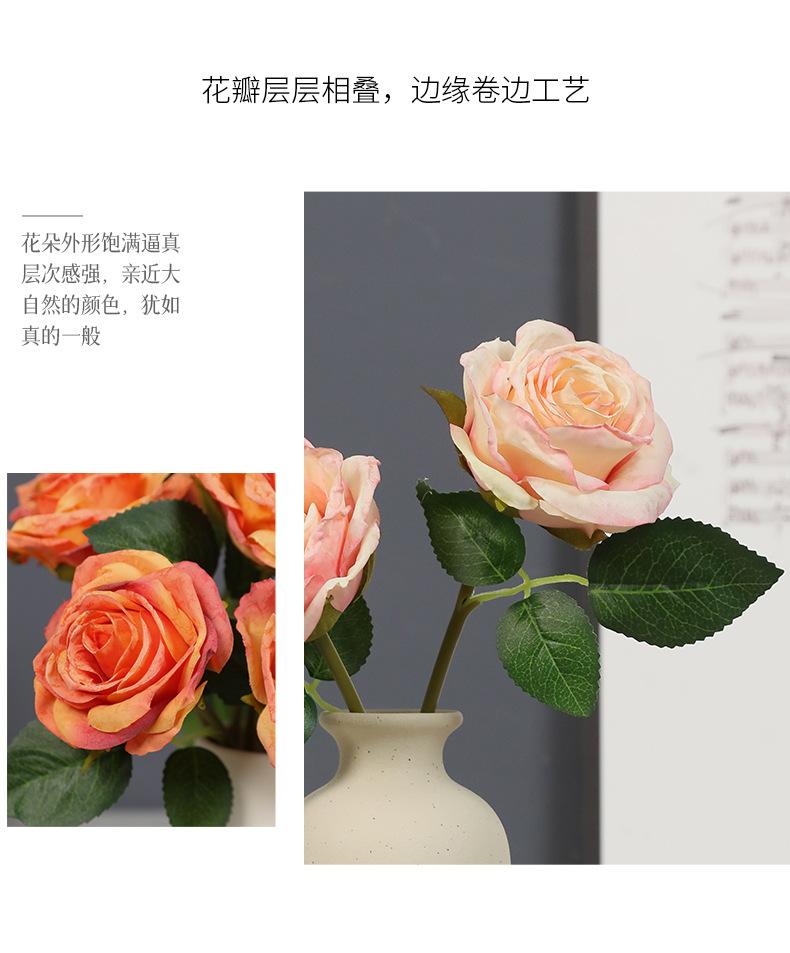 单叶锦瑟玫瑰_08.jpg