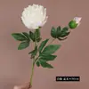 Flores de Peonía Artificiales Estilo Chino con un Toque de Lujo, Hidratantes, Loto de 2 Cabezas, Materiales para Flores Artificiales, Decoraciones para Sala de Estar, Adornos, Fotografía