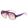 Nuevas Gafas de Sol Retro de Moda de Montura Grande de Rana Ins Distintivas Casuales Simples Combinan con Todo para Exterior