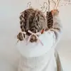 Laço Simples Duplo Personalizado para Rabo de Cavalo Fita Longa Acessórios para Cabelo Trançado de Show Celebridade da Internet Faixa de Cabelo Elegante Corda de Cabelo Elástico