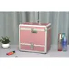 Caja de Joyas con Candado de Contraseña Gran Capacidad Estuche de Maquillaje Portátil Caja Multifuncional para Joyería de Mano Caja de Maquillaje Regalo de Princesa