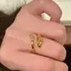 Anillo de Serpiente Dorada Ringtail Baño de Oro Estilo Europeo Viento Old Money Año de la Serpiente Retro Exquisito Alto Grado Moda Exquisito Anillo