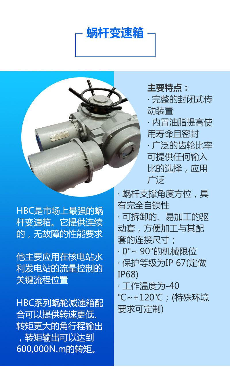 DZW-RS-减速机-详情页_02.jpg