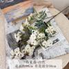 Flor de begonia de boutique, flor de simulación, flor verde para decoración de jardines, flores falsas, flores para bodas, flores en hilera, begonia de xifu, flor de pera