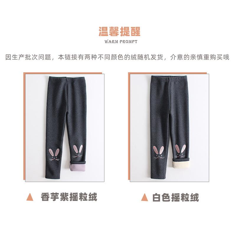 猫咪和兔子解释