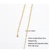Estilo Europeo y Americano Chapado en Oro de 18K No se Desvanece Estilo Ins Moda Cadena para Clavícula de Mujer Cadena Lisa Cadena de Acero Inoxidable con Hoja DIY