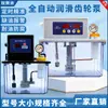 Bomba de Óleo Lubrificante Totalmente Automática Recipiente de Reabastecimento Elétrico Máquina-Ferramenta Centro de Usinagem CNC Lubrificador 220V Bomba de Lubrificação de Engrenagens