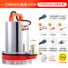 Bomba sumergible de CC 48V60V72 voltios bomba de agua para vehículo eléctrico doméstico 12V24V botella pequeña bomba de agua para riego de tierras de cultivo