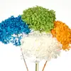[Niebla Natural Hortensia] Flor Eterna Flor Seca Hortensia Anna Hortensia Lobular Material para Boda DIY Venta al por Mayor
