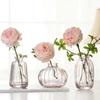 Vaso de Vidro Atacado Flores Frescas Simples Flores Secas Flores em Vasos Rosas Enfeites de Sala de Estar Decoração Ins Pequeno Vaso em Relevo