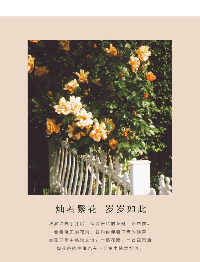 幸运花环项链_02.jpg