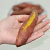2 Libras de Camotes Pequeños Fragantes, 10 Camotes, Camotes de Castaña, Camotes Amarillos Frescos, 5 Verduras, Camotes de Miel, Camotes de Tierra Arenosa