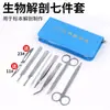 Kit de disección de 7 piezas Kit de disección biológica Aguja de disección Tijeras Herramientas Equipo de enseñanza para experimentos de biología de secundaria Venta al por mayor