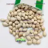 Chengdu Medicina Herbal China Al por Mayor Ginkgo Ginkgo Almendra Nuez Blanca Pulpa Blanca Fresco Seco Natural Sin Aditivos