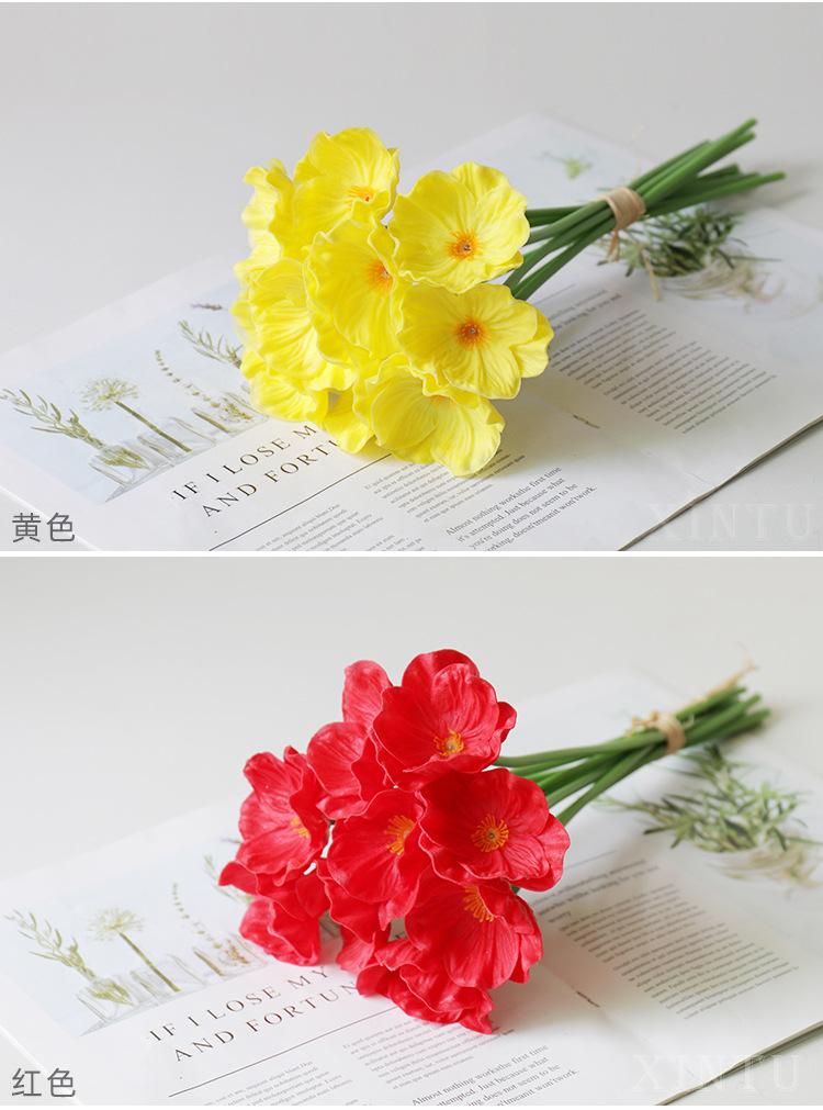 罂粟_07.jpg