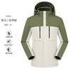 Ropa de invierno para exteriores, chaqueta de plumón tres en uno, ropa de trabajo personalizada, cortavientos, conjunto de dos piezas extraíble con logotipo impreso.