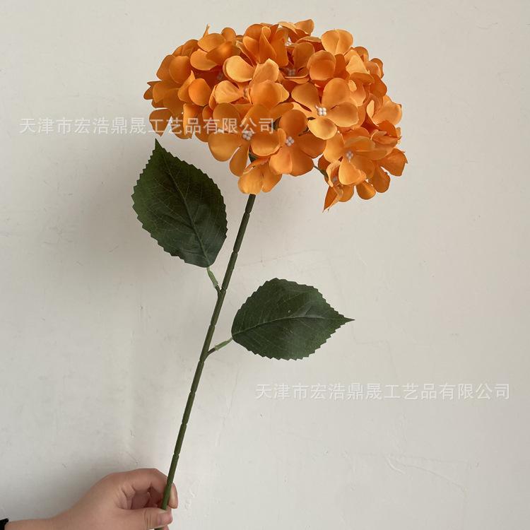 微信图片_202212121133425_副本