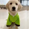 Capa Roupa de animal de estimação Transfronteiriça Super-herói Cachorro Moletom para animal de estimação Pelúcia Bordada Roupas para cachorro