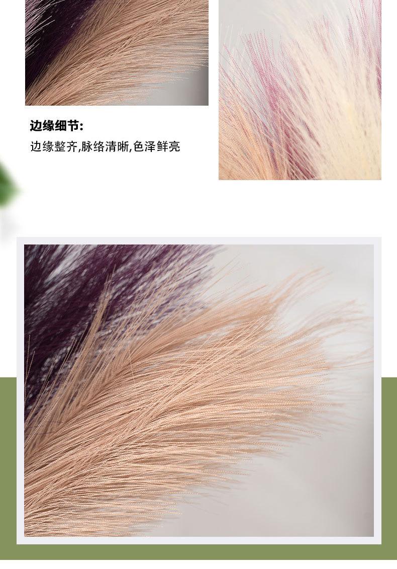 详情_07.jpg