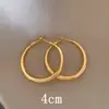 Brincos de Argola Lisos Simples de Prata para Outono e Inverno para Mulheres Europeus e Americanos Transfronteiriços Nicho Brincos de Luxo Leve Estilo Metal Temperamento