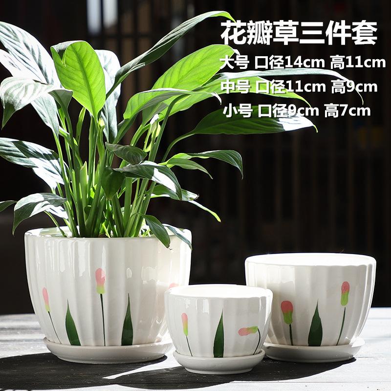 SKU-01-花瓣草三件套{促销价}