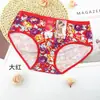 Tongtizi 30294 calcinha estampada moderna cintura média jovem adulta respirável confortável roupa íntima feminina
