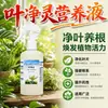 Solución Nutritiva Ye Jing Ling para Plantas Verdes y Flores Cuidado de las Hojas Solución Nutritiva Limpia las Hojas Ilumina las Hojas Mejora las Manchas en las Hojas