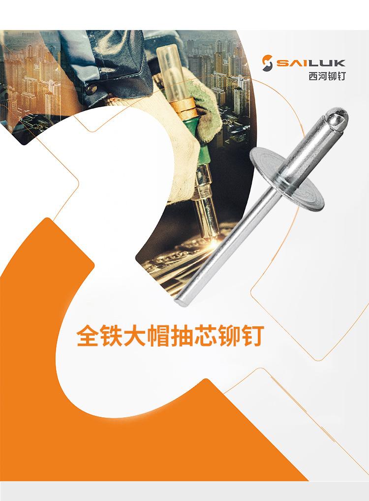 全铁开口沉头_03