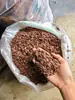 Corteza de pino venta directa para lecho de reptiles, material humectante y aislante para hámsteres, tortugas, serpientes, lagartos, terrarios de reptiles, lecho de reptiles al por mayor