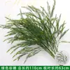 Plantas Verdes Flores Artificiales Hierba Aspargo Colgante Decoración de Fondo de Arte Floral para Bodas Flores Falsas Estilo Bosque Escenario de Boda Arreglo Floral