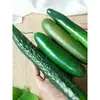 Modelo de pepino de simulación Rodajas de pepino gordo Fruta de pepino verde Gabinete de frutas y verduras Decoración para transmisión en vivo de cocina Accesorios Juguetes para casa de juegos