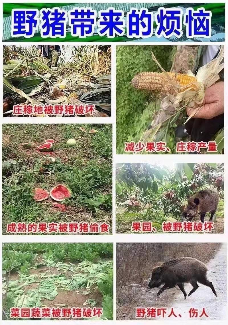 详情-4