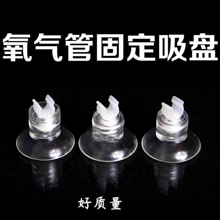 2731840708_1103982721