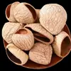Boneca de Casca de Fruta Pacote de Material DIY Artesanal Criativo Acessórios de Lã Encaracolada para Ursinhos Acessórios de Joias Artesanais para Crianças