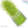 Kit de Unhas Verdes Transfronteiriço 12 Cores Misturadas Lantejoulas para Nail Art Laser Pó Escarlate Joias para Nail Art Broca Adesivo para Unha