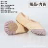 Zapatos de Baile para Niñas Zapatos Garra de Gato Princesa Niñas Suela Blanda Zapatos de Ballet Niños de Guardería Rosas Carnosos