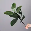 Folhas de Magnólia Artificiais Galhos Falsos Arranjo de Flores Cena de Paisagismo Folhas Grandes Decoração de Quarto Modelo de Hotel Plantas Verdes Flores Artificiais Magnólia