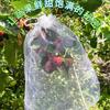 Bolsa de Malla a Prueba de Insectos para Árboles Frutales, Protección de Gasa a Prueba de Aves, Ensacado de Uvas e Higos Fresas, Protección Universal contra Insectos para Frutas de Durazno