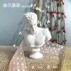 Venus Griega Nórdica Barbilla Femenina David Resina Yeso Mini Modelo de Cabeza Adornos de Arte Estatua de Retrato
