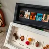 Porta-Retrato Artesanal Espécime Moldura de Exibição de Papelão 20 Grades 3D Oco Flor Seca Fruta Porta-Retrato DIY
