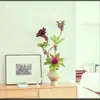 Paquete Combinado de Bromelias Set Grande Mediano Pequeño Madera Flotante de Selva Paisajismo Acuático Micro Paisaje Planta de Aire Otro