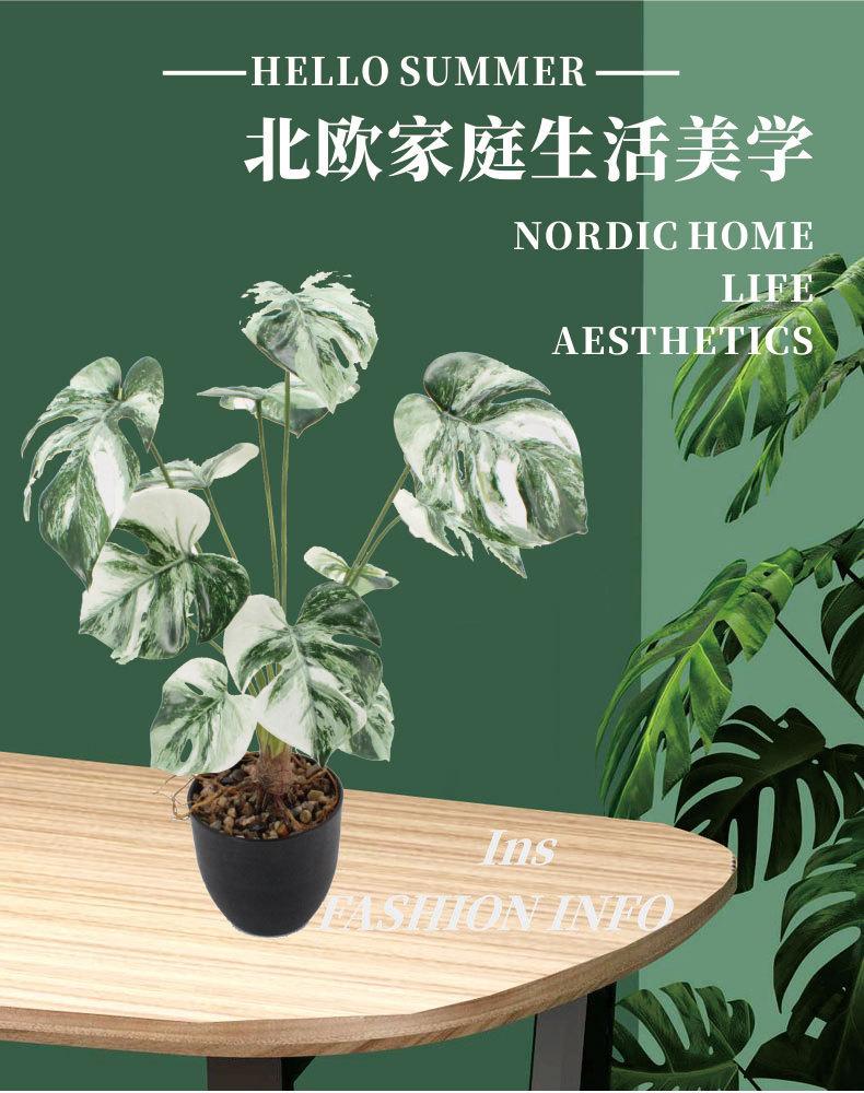 详情_01.jpg