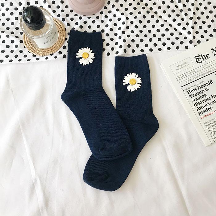 IMG_5395(20191229-232215)