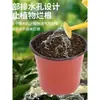 Vasos para mudas de duas cores vasos de nutrição plástico plantio descartável estaca grossa grande cultivo morango suculentas flores