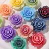Sueño Color Arcoíris Azúcar Sentido Rosa Joyería Parche Aretes DIY Tocado Accesorios para el Cabello Zapatos con Agujeros Zapatos Accesorios de Flores