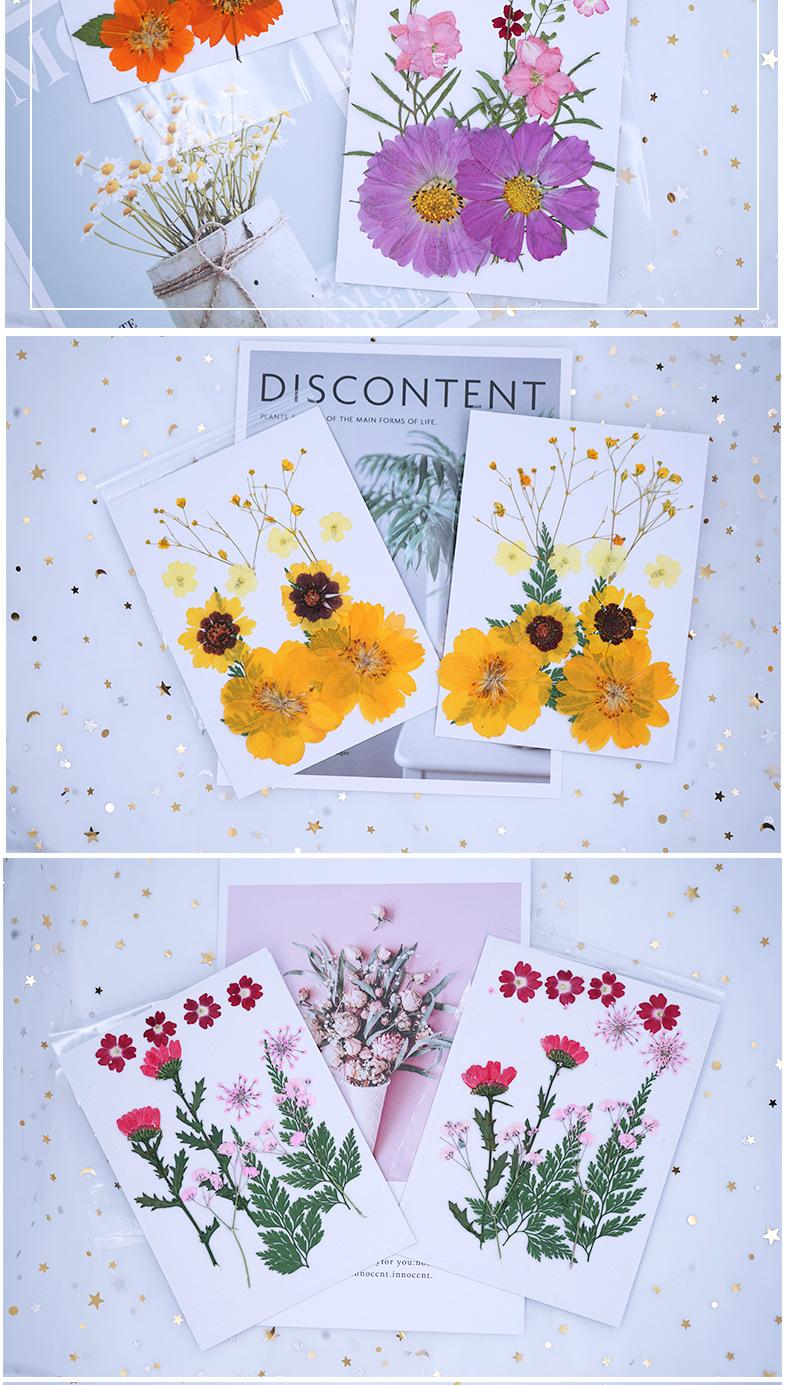 13片花包详情_06