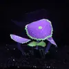 Decoraciones para Acuario Tanque de Peces Plantas Acuáticas Silicona Simulada Efecto Fluorescente - Coral Alfombra Paisajismo Paisajismo Fluorescente
