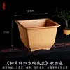 Vaso Quadrado Criativo Planta Suculenta Árvore da Fortuna Bonsai Jardinagem Especial Vaso de Flor de Resina Vaso de Plástico Simples