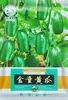 Sementes de Pepino Fruta Golden Boy, Sem Espinhos, Crocante, Doce e Refrescante, Fácil de Cultivar em Todas as Estações, Nova Variedade de Sementes de Pepino Polegar
