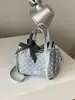 Bolsa fofa de bolinhas estilo coreano 2026 novo modelo bolsa dopamina para meninas, bolsa de ombro e transversal de alto valor estético